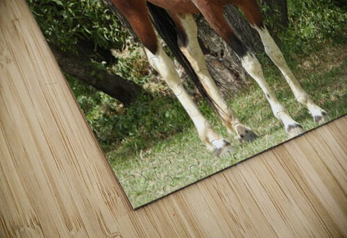 Nevada Wild 165 1 ImagesbyMJRoss puzzle