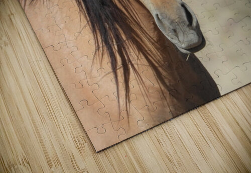 Nevada Wild 165 1 ImagesbyMJRoss puzzle