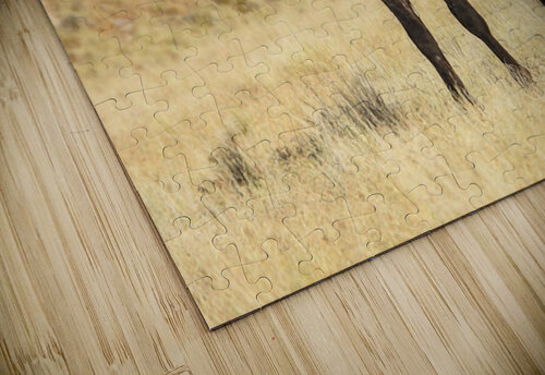 Utah Onaqui Wild Horses ImagesbyMJRoss puzzle