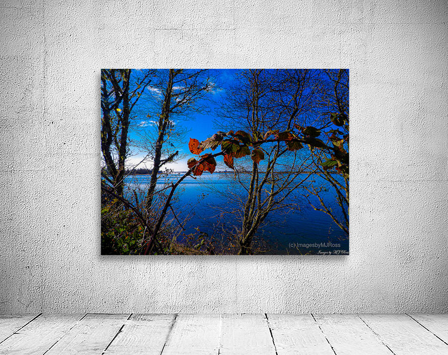 Oregon Coast 3 Wall Preview