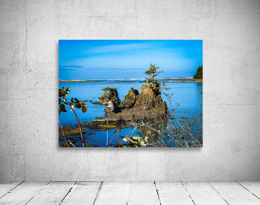 Oregon Coast 2 Wall Preview