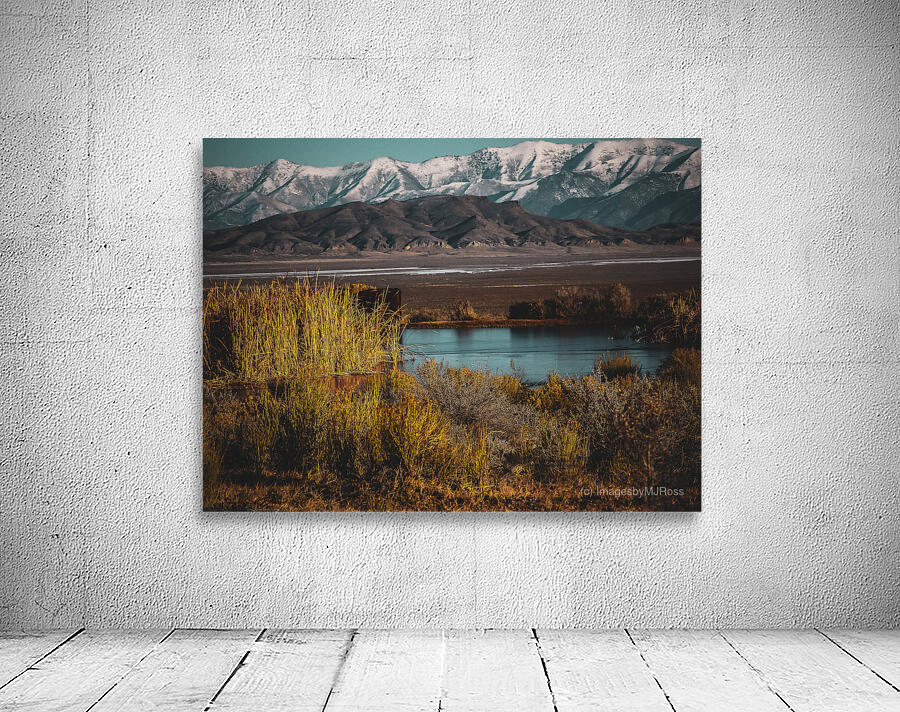 Nevada Landscape 4 Wall Preview