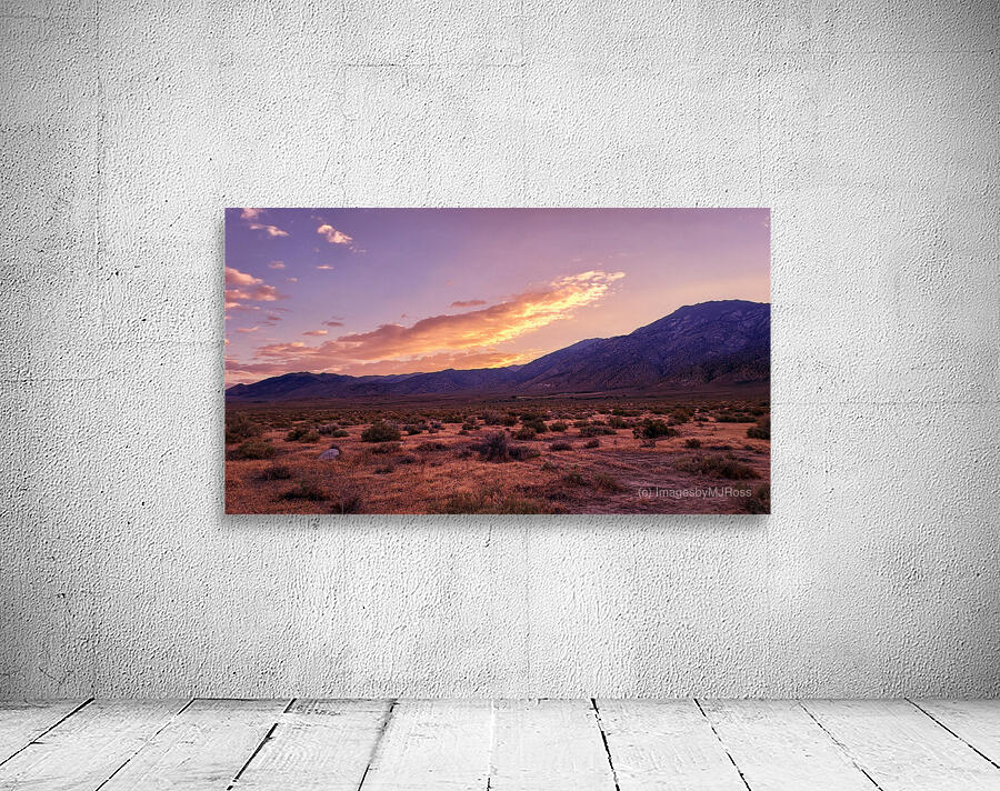 Nevada Landscapes 1 Wall Preview