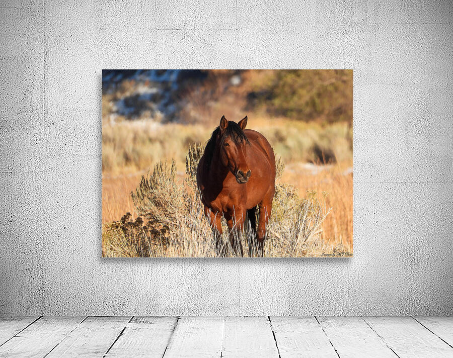 Wild Horse Nevada Series1 Wall Preview