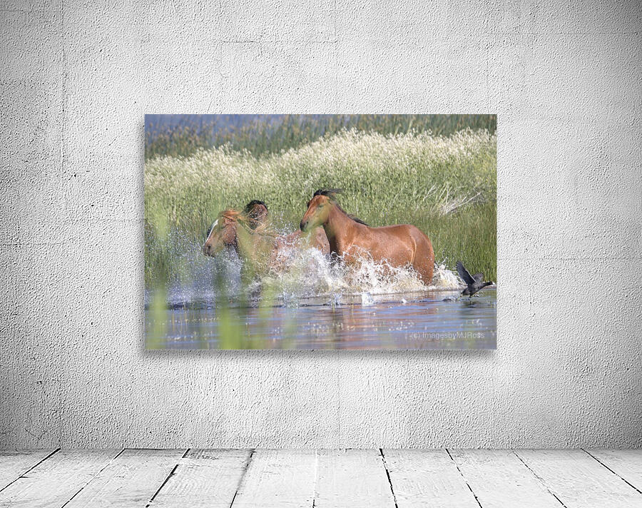 Wild Horse Nevada Series 4 Wall Preview