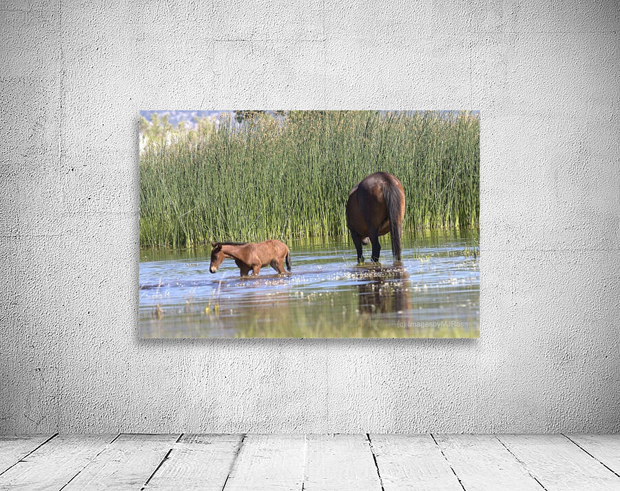 Wild Horse Nevada Series 6 Wall Preview
