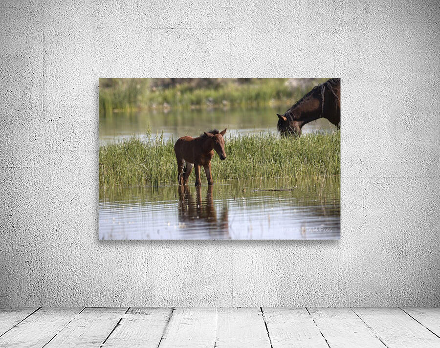 Wild Horse Nevada Series 7 Wall Preview