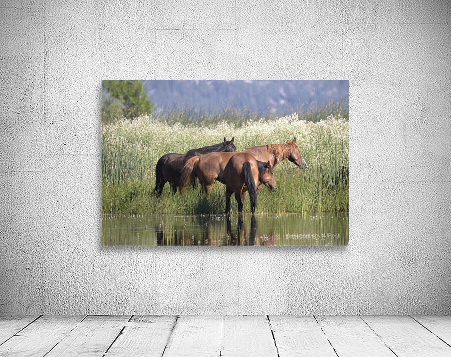 Wild Horse Nevada Series 9 Wall Preview