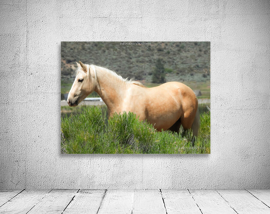 Wild Horse Nevada Series 10 Wall Preview