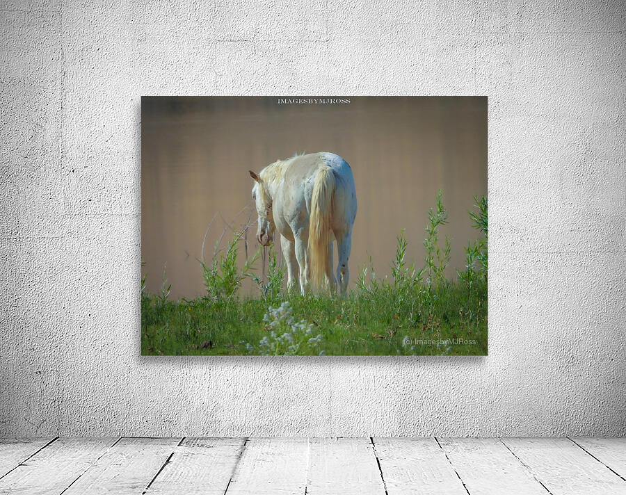 Wild Horse Nevada Series 13 Wall Preview