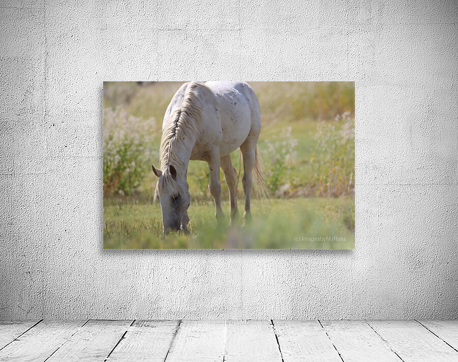 Nevada Virginia Range Series 2 Wall Preview