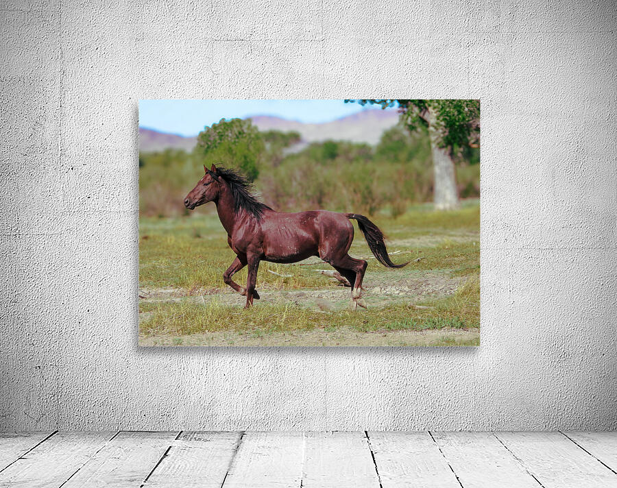 Nevada Virginia Range Series 3 Wall Preview