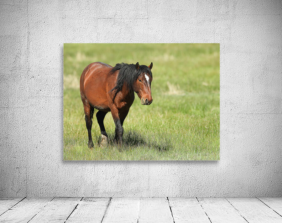 Nevada Virginia Range Series 4 Wall Preview