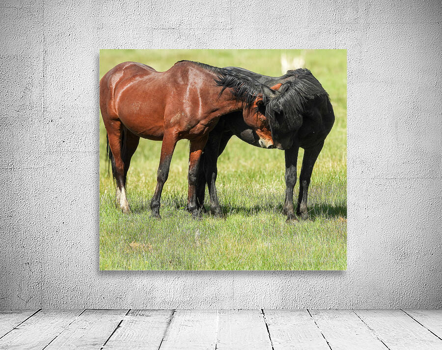 Nevada Virginia Range Series 5 Wall Preview