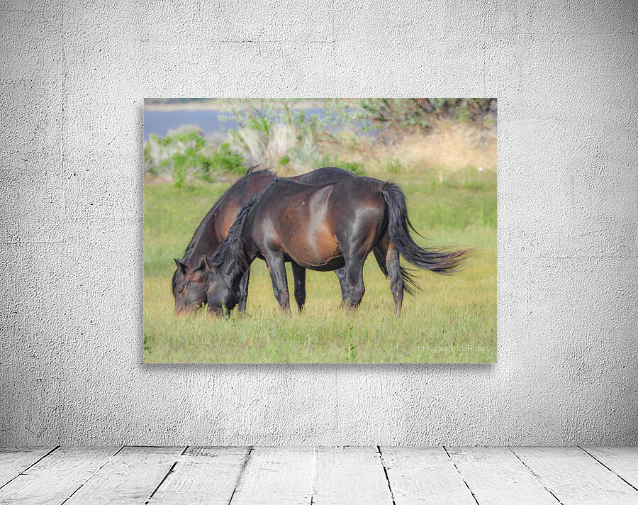 Nevada Virginia Range Series 7 Wall Preview