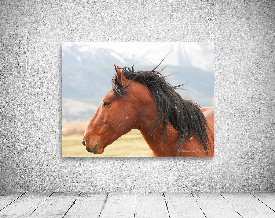 Nevada Virginia Range Series 10 Wall Preview