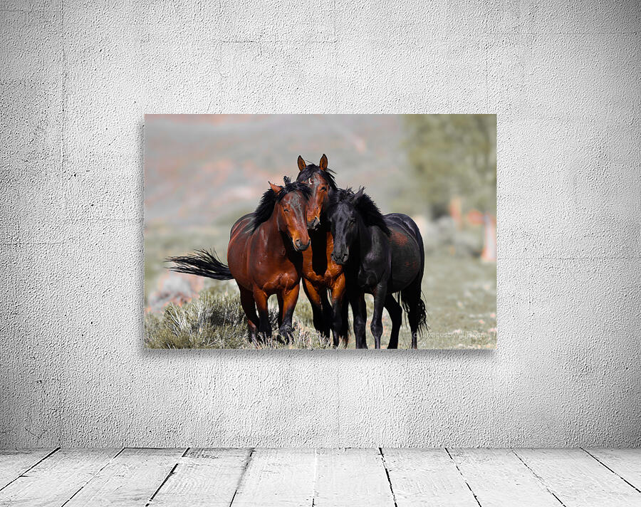 Nevada Virginia Range Series 11 Wall Preview