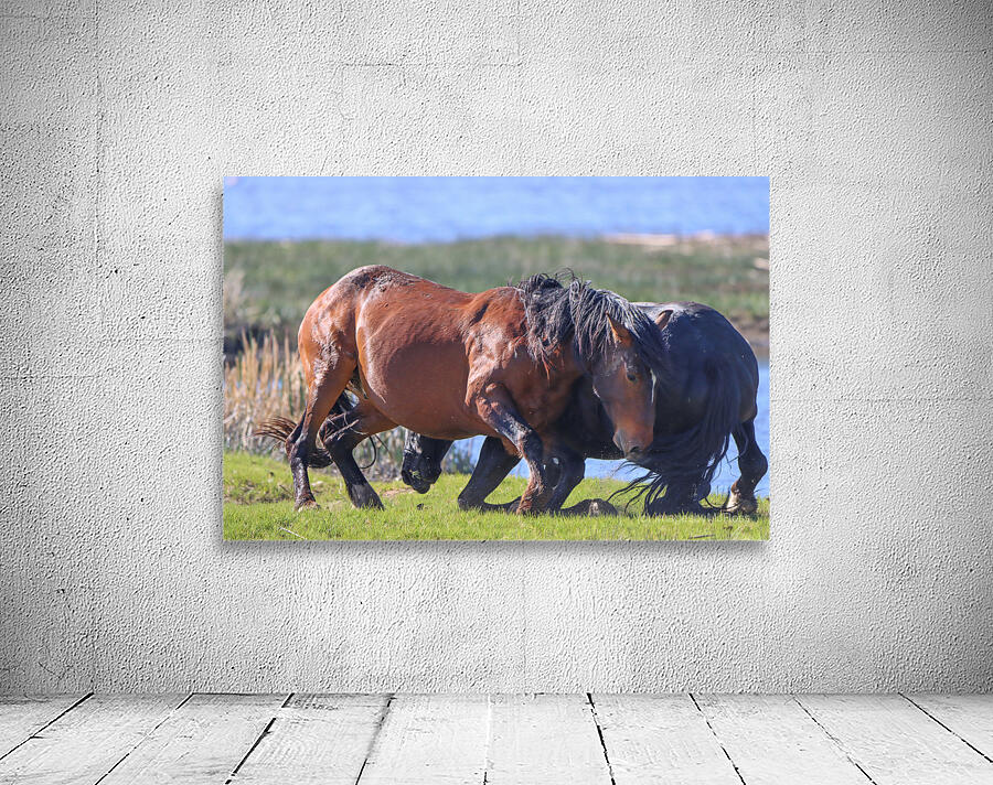 Nevada Virginia Range Series 13 Wall Preview