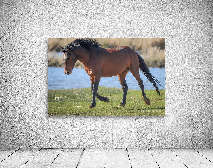 Nevada Virginia Range Series 15 Wall Preview