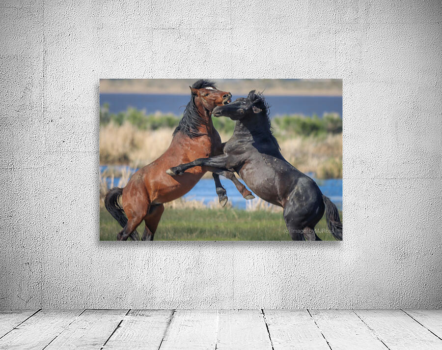 Nevada Virginia Range Series 16 Wall Preview