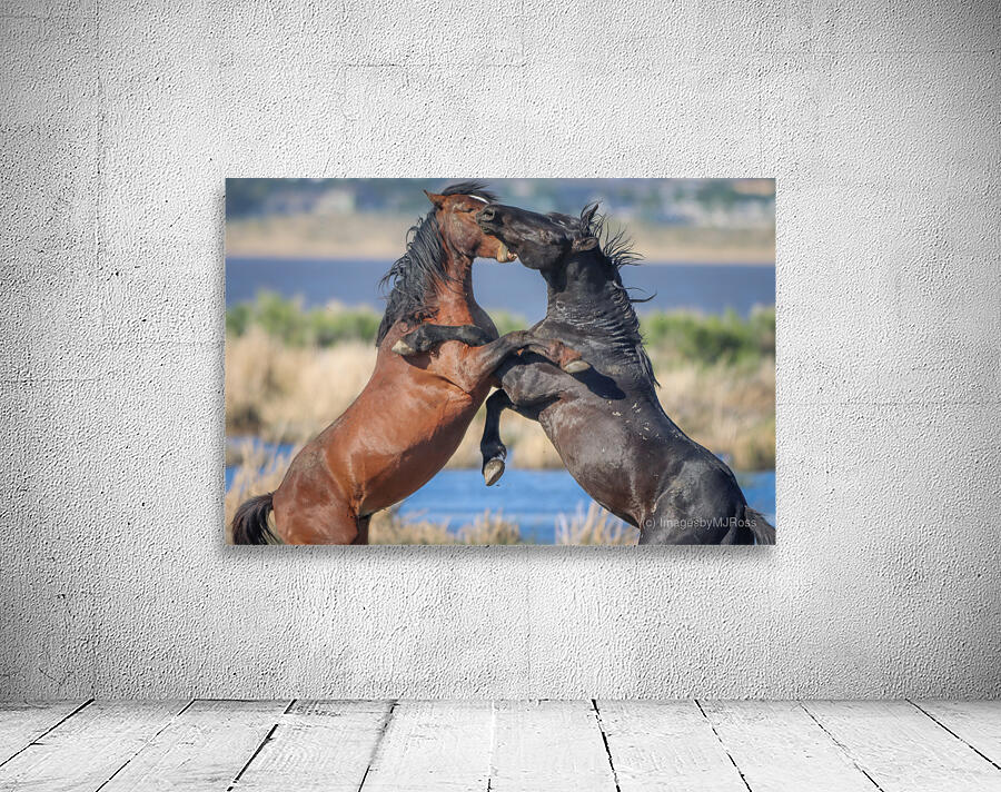 Nevada Virginia Range Series 17 Wall Preview