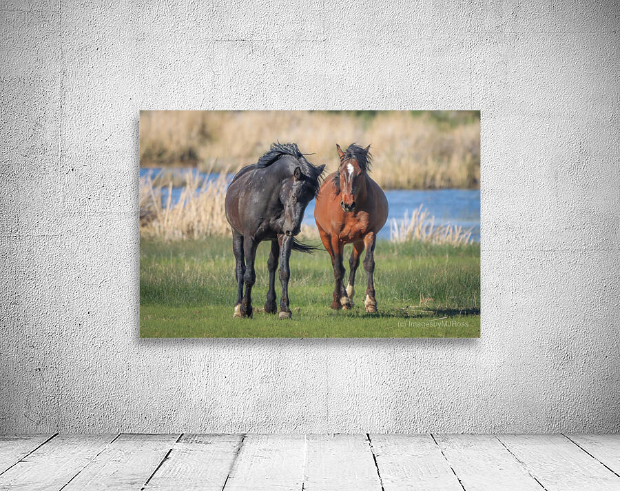 Nevada Virginia Range Series 19 Wall Preview