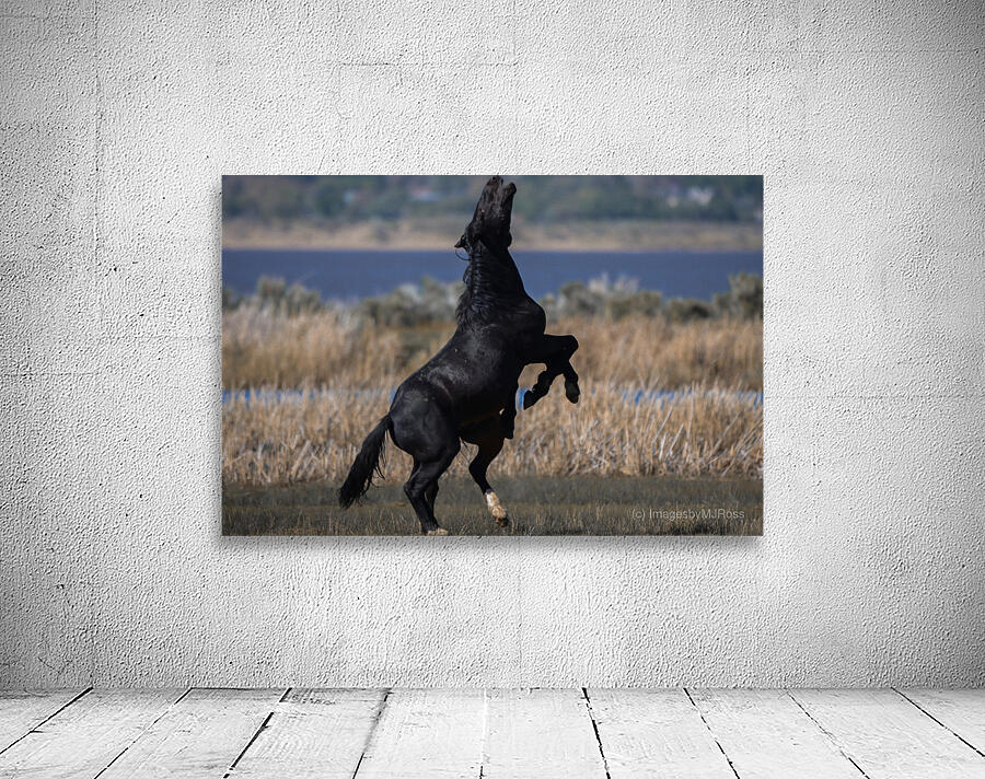 Nevada Virginia Range Series 22 Wall Preview