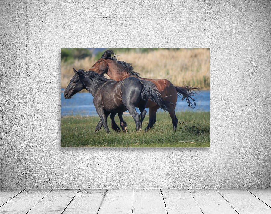 Nevada Virginia Range Series 25 Wall Preview