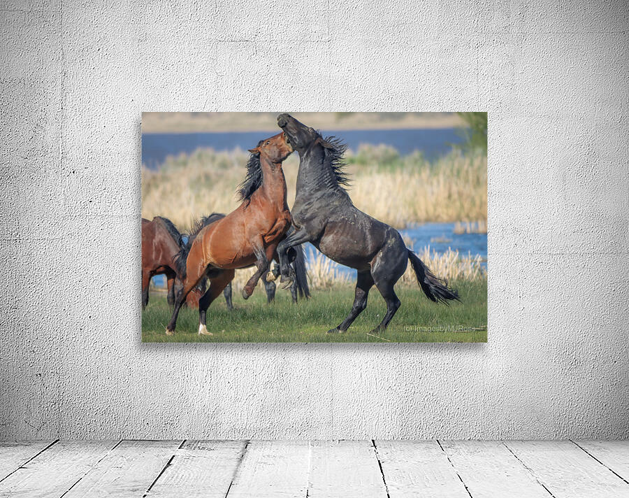 Nevada Virginia Range Series 27 Wall Preview