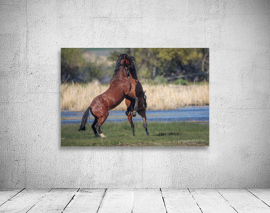 Nevada Virginia Range Series 28 Wall Preview