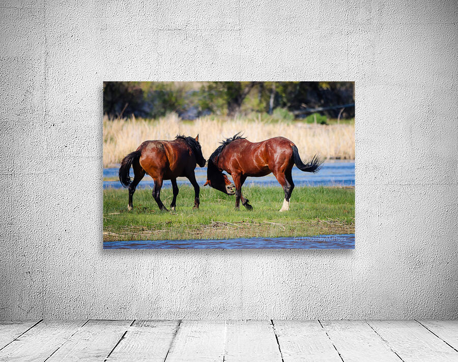 Nevada Virginia Range Series 29 Wall Preview