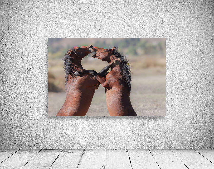 Nevada Virginia Range Series 32 Wall Preview