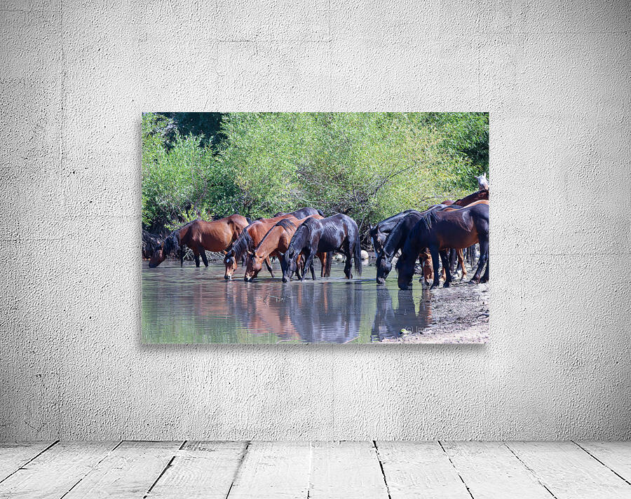 Nevada Virginia Range Series 37 Wall Preview