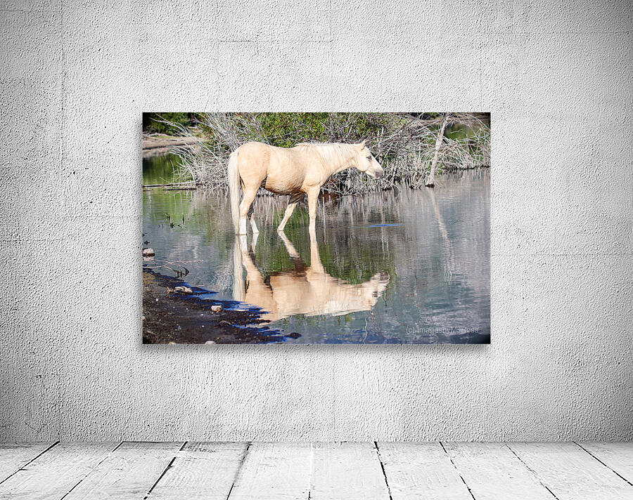 Nevada Virginia Range Series 38 Wall Preview