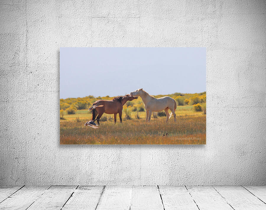 Mono Lake Wild Horse Series 1 Wall Preview