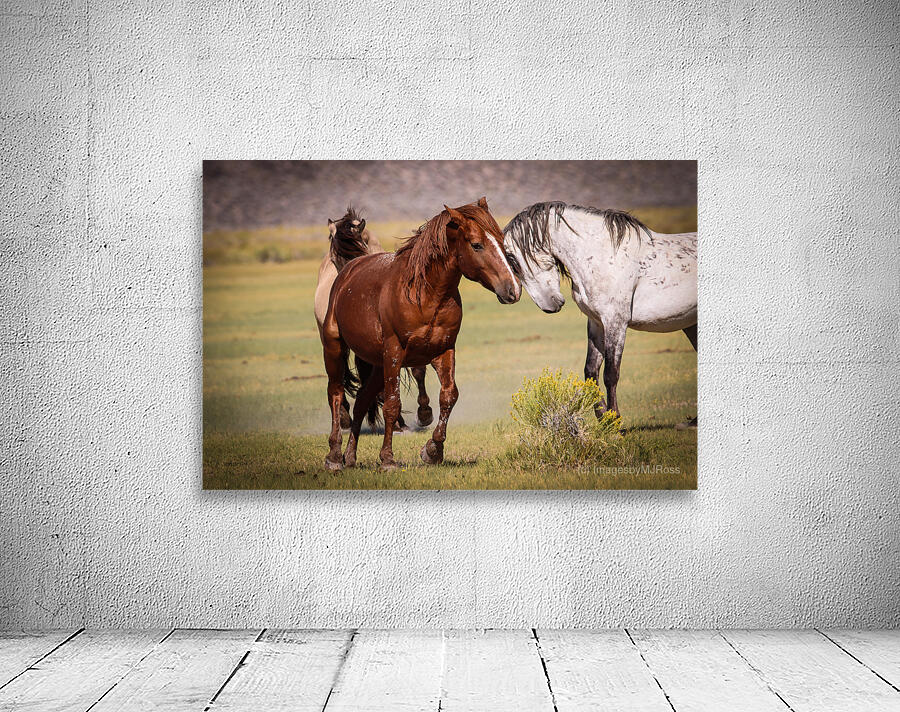 Mono Lake Wild Horse Series 1 Wall Preview