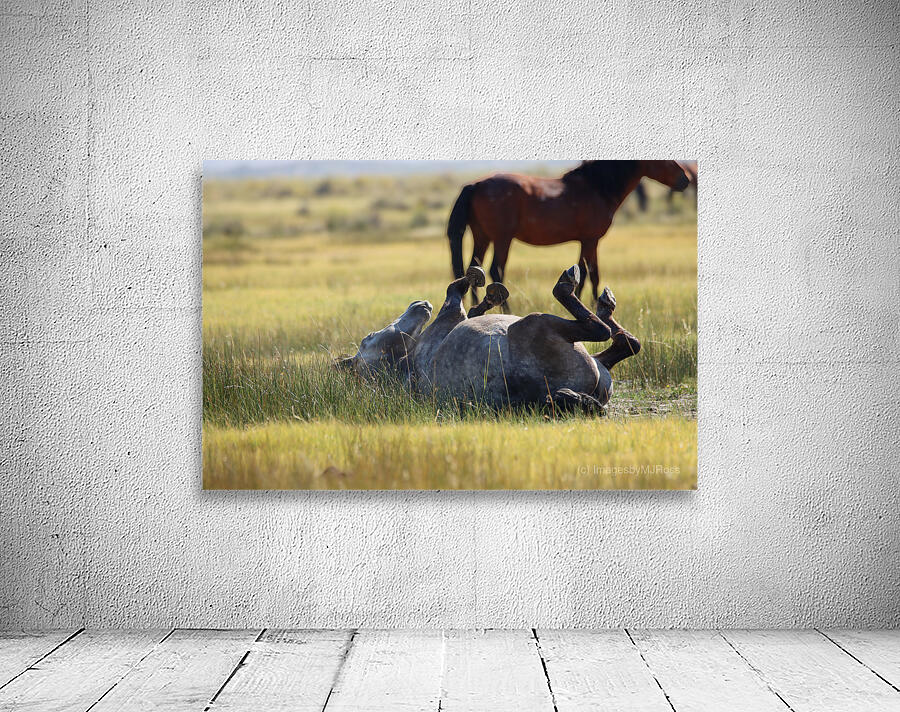 Mono Lake Wild Horse Series 1 Wall Preview