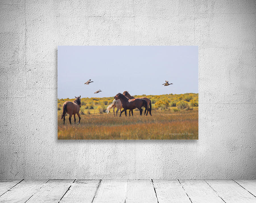 Mono Lake Wild Horse Series 1 Wall Preview