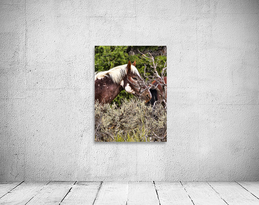 Nevada Mustang series2 Wall Preview