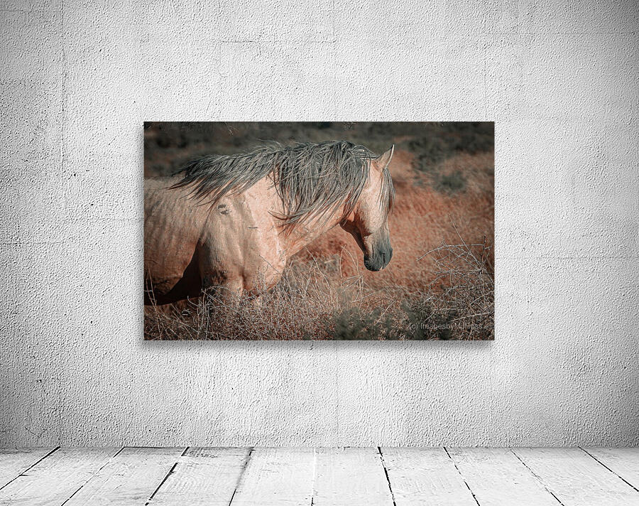 Nevada Mustang series 3 1 Wall Preview