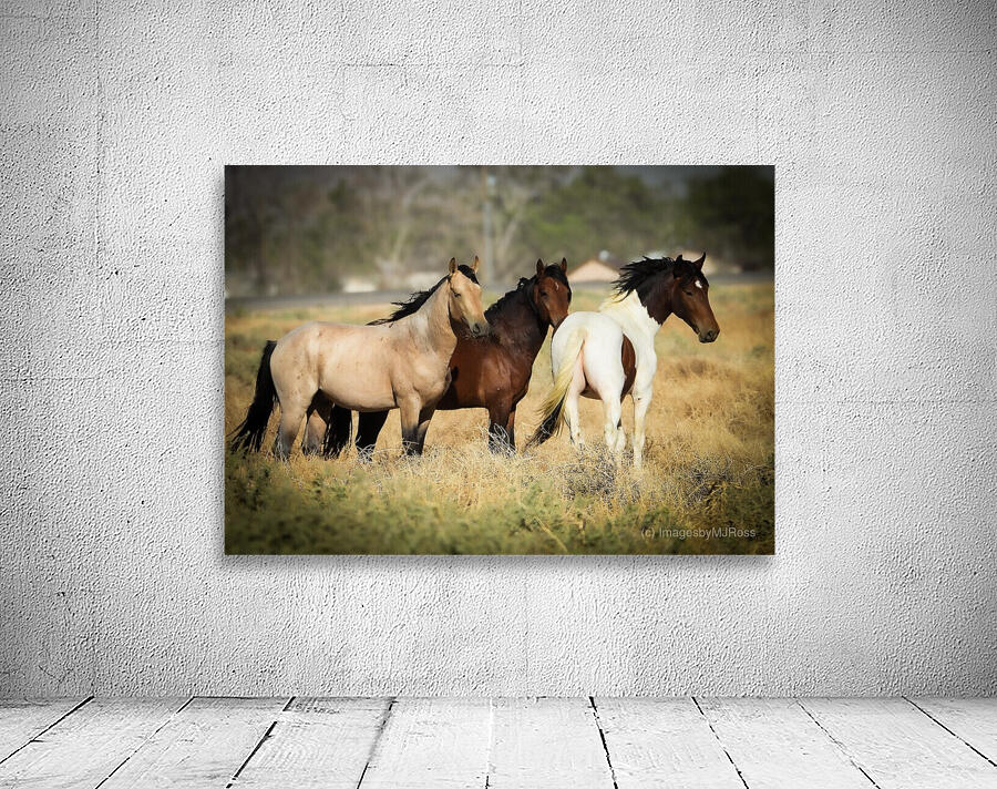 Nevada Mustang series 4 1 Wall Preview