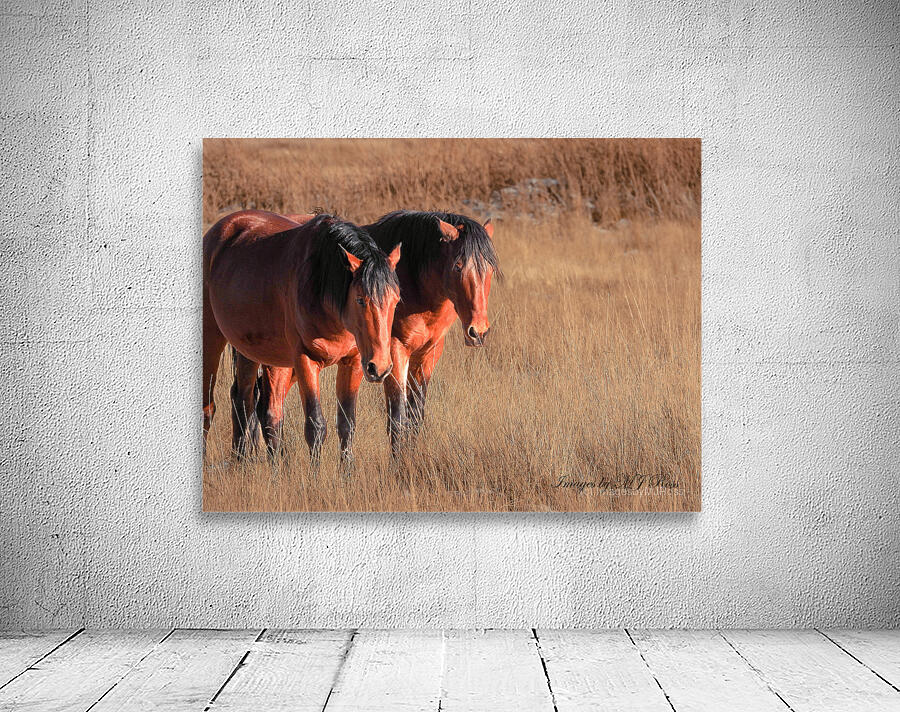 Nevada Mustang series 7 1 Wall Preview