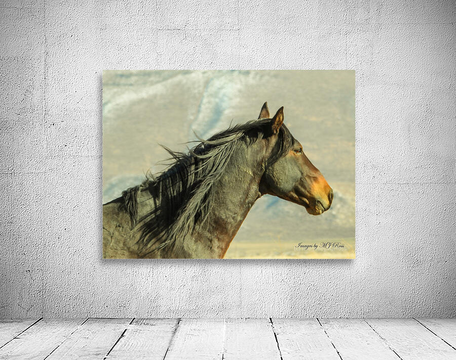 Nevada Mustang series 8  1 Wall Preview