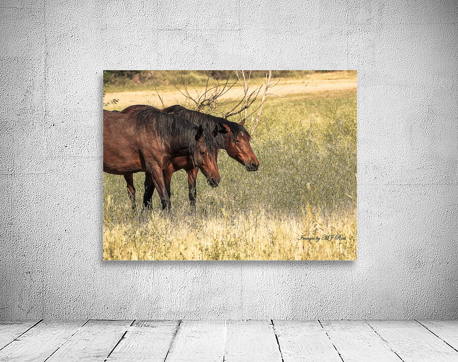 Nevada Mustang series 10 1 Wall Preview