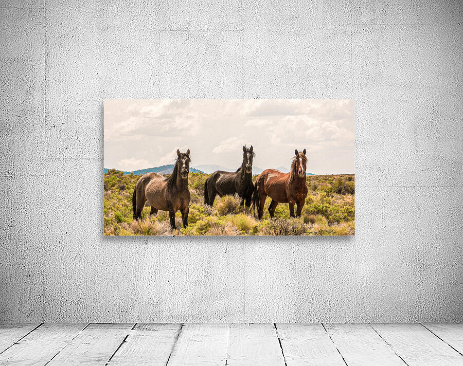 Nevada Mustang series 12 1 Wall Preview