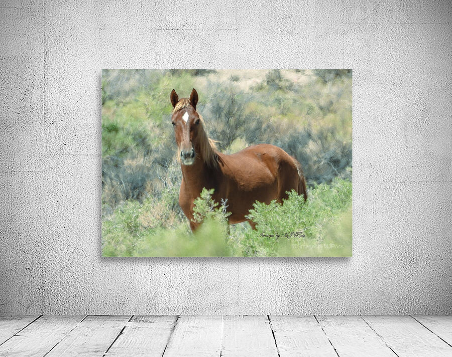 Nevada Mustang series 13 1 Wall Preview