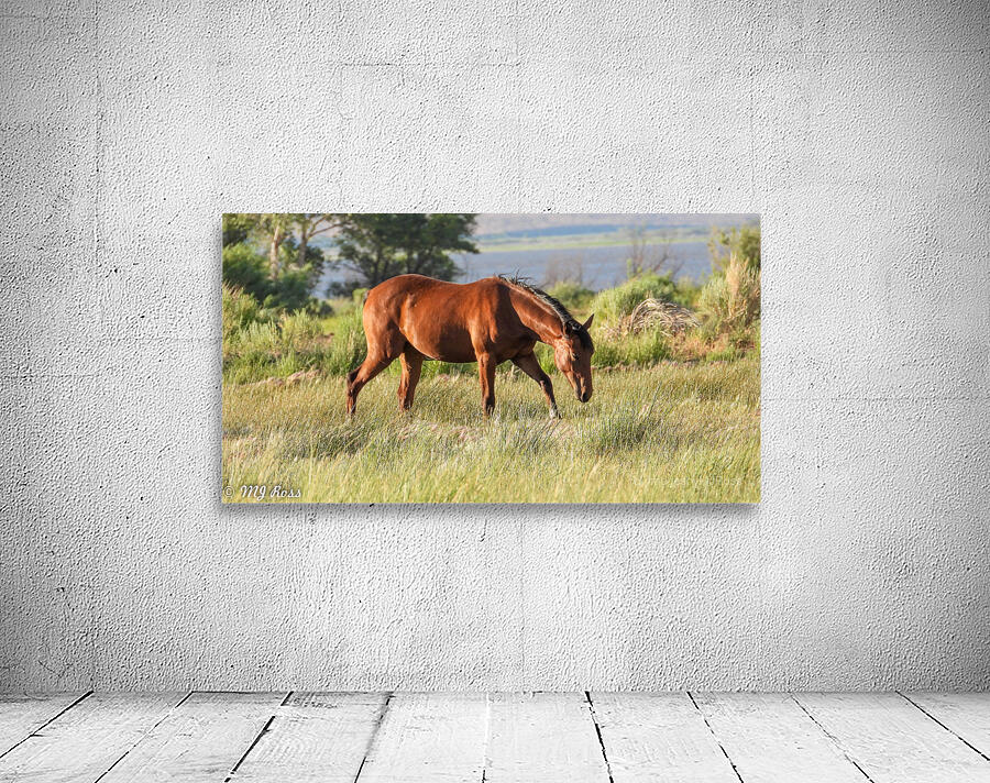 Nevada wild 3 Wall Preview