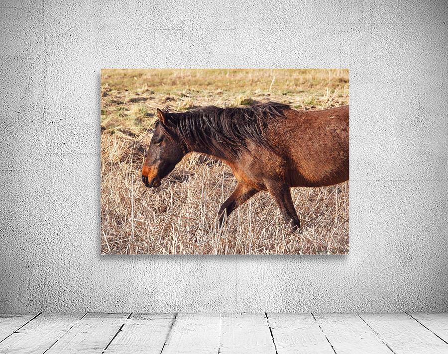 Nevada wild 5 Wall Preview