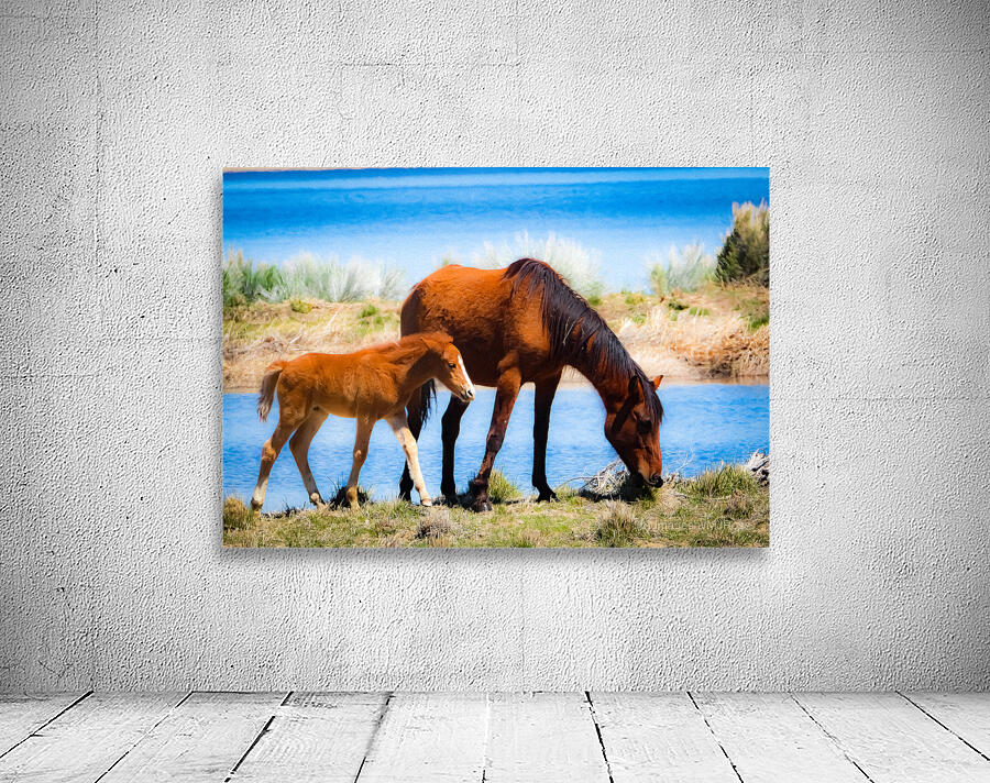 Nevada wild 6 Wall Preview