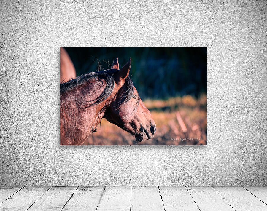 Nevada wild 2 Wall Preview